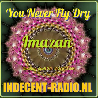You Never Fly Dry melodic-techno